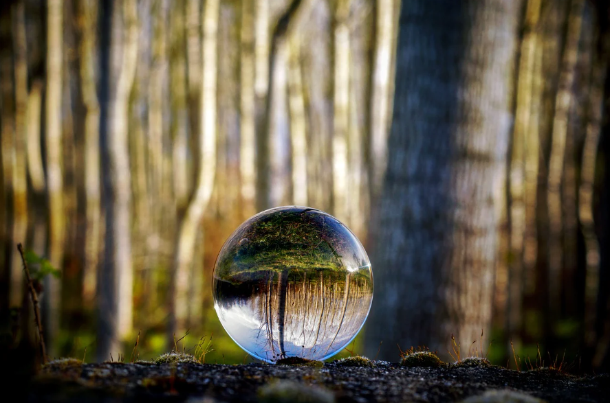 Pain glass with trees inside in nature